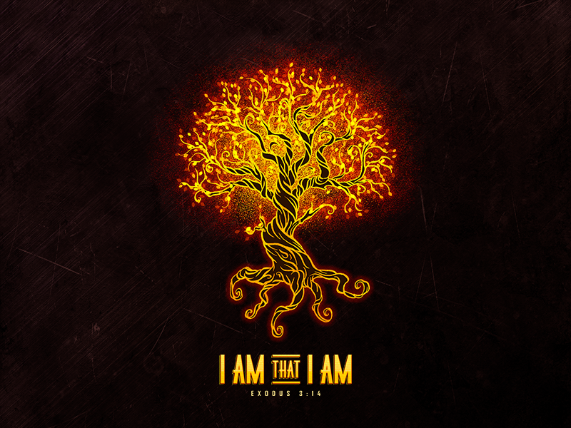 Avatar for HaNdY SoLuTiOnS